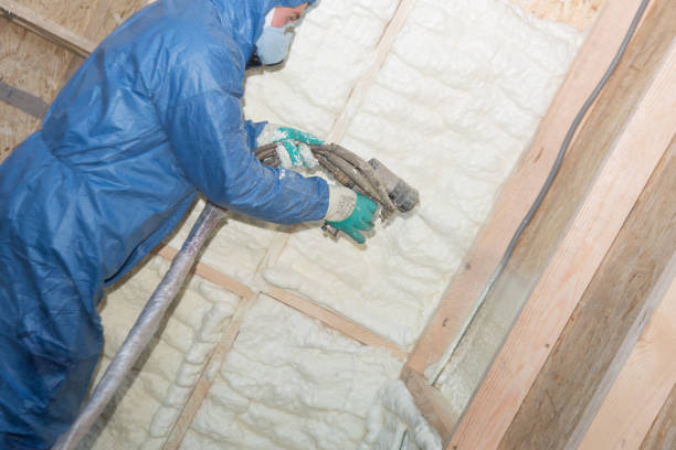 Best Wall Insulation Installation  in South Zanesville, OH